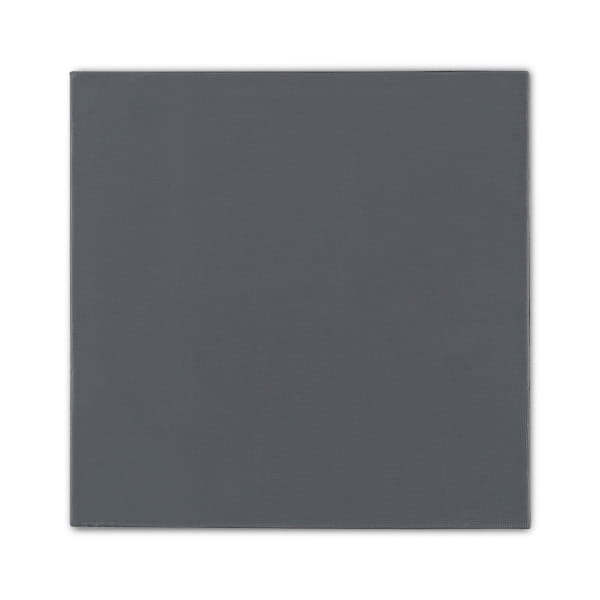 WÄM Thermal Grizzly Minus Pad Pro - 100x100x1,0 mm, Wärmeleitpad