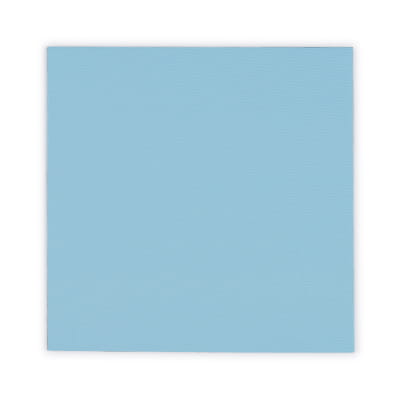 WÄM Thermal Grizzly Minus Pad Pro - 100x100x0,5 mm, Wärmeleitpad