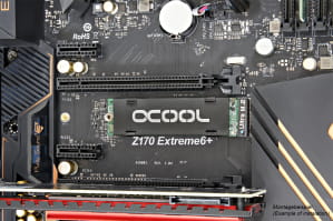 WAH Alphacool HDX - M.2 SSD M01 - 80mm - Schwarz